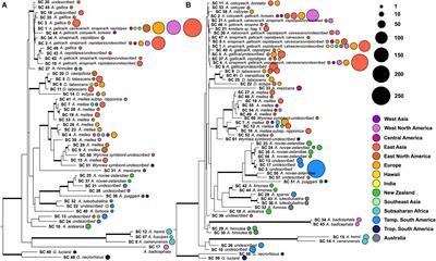 Global Distribution and Richness of Armillaria and Related Species Inferred From Public Databases and Amplicon Sequencing Datasets